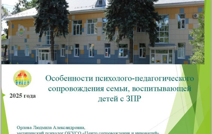 Проведение вебинаров для специалистов по социальной работе в ОКУСО "Центр сопровождения и инноваций"