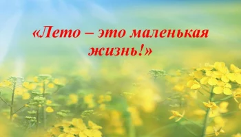 Лето &mdash; это маленькая жизнь