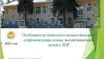 Проведение вебинаров для специалистов по социальной работе в ОКУСО "Центр сопровождения и инноваций"