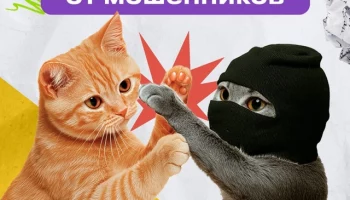 Как защититься от мошенников?