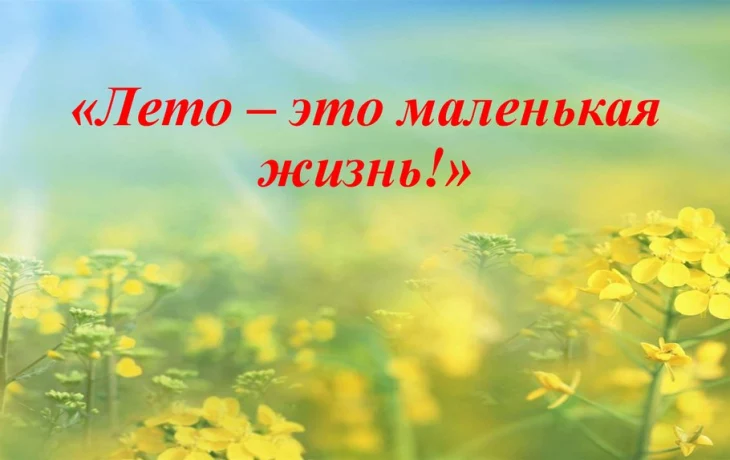 Лето — это маленькая жизнь Лето — это маленькая жизнь