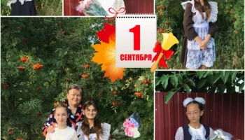 Новости из районов Курской области