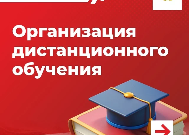 Организация дистанционного обучения