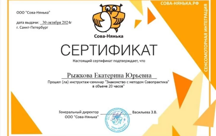 Обучение специалиста ОКУСО "Центр сопровождения и инноваций" Рыжковой Е.Ю., организованное компанией "Сова Нянька"