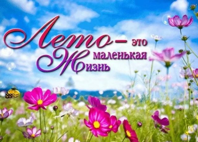 РОДИТЕЛЯМ НА ЗАМЕТКУ Лето &mdash; это целая маленькая жизнь!